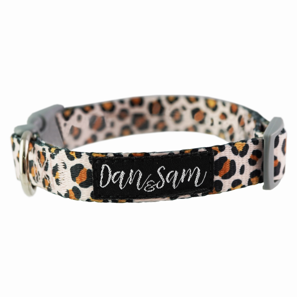 Dan & Sam - Dog Collar (Wild One)