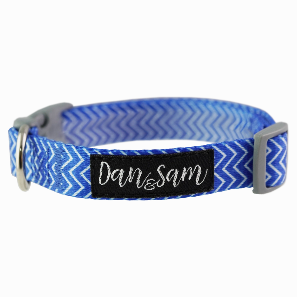 Dan & Sam - Dog Collar (Ziggy)
