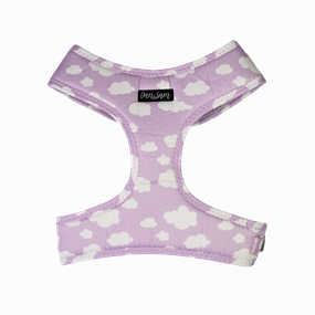 Dan & Sam - Dog Harness (Dreamer) - Large
