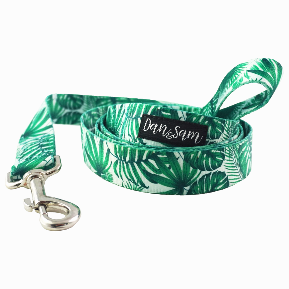 Dan & Sam - Dog Lead (Lahana)