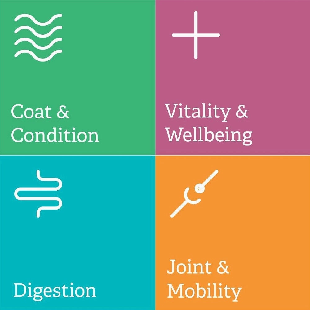 Digest-Aid for Dogs & Cats
