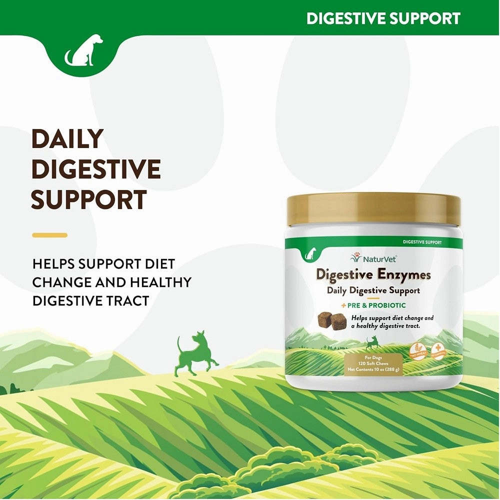 Digestive Enzymes Powder and Probiotics for Dogs & Cats