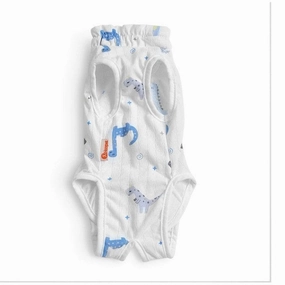 Dinosaur Century Cat De-Sexing Suit