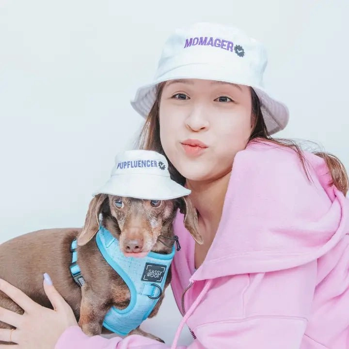 Dog 'Pupfluencer' Bucket Hat with Matching 'Momager' Human Hat