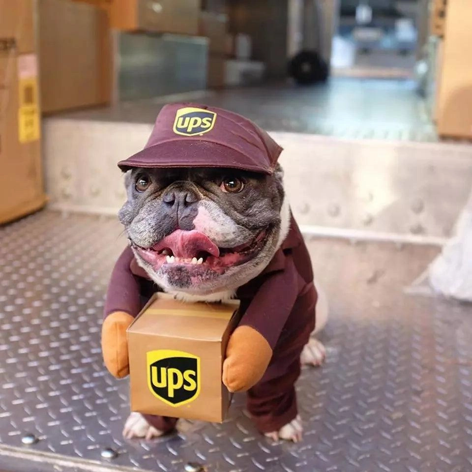 Dog & Puppy UPS Dress Up Costume
