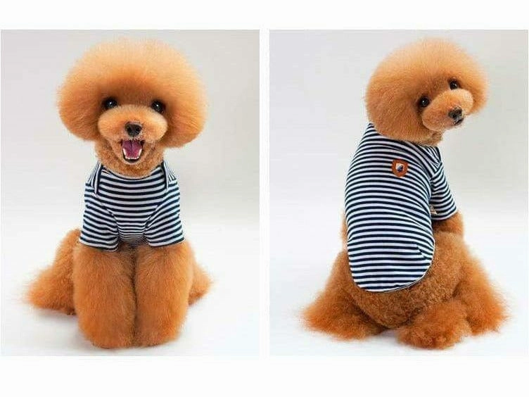 dog clothes Black M KLN-1708BU