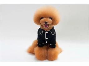 dog clothes Black M KLN-1719BK