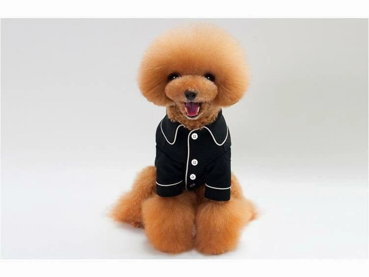 dog clothes Black M KLN-1719BK