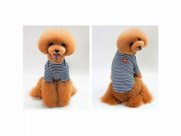 dog clothes Black S KLN-1708BU