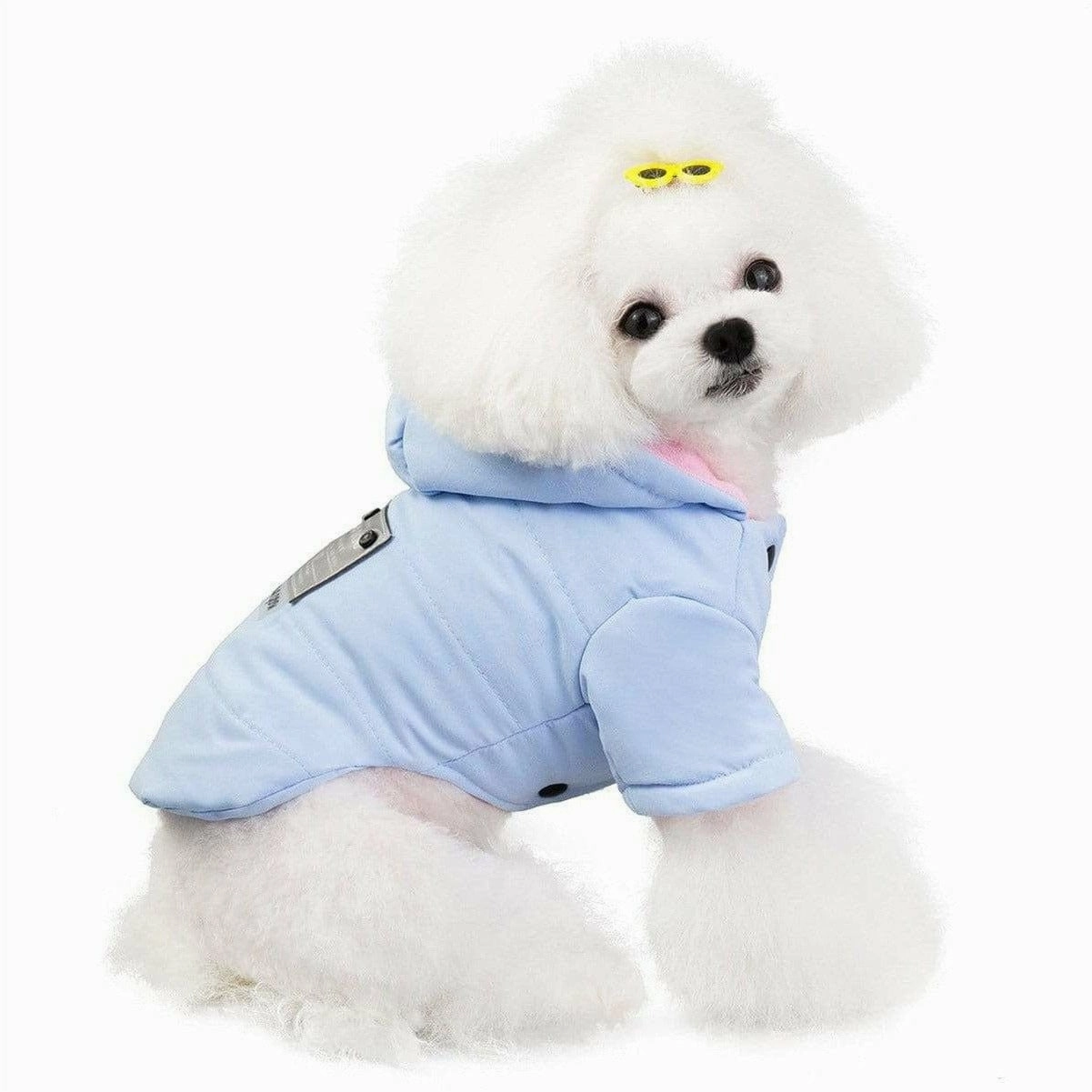 dog clothes blue L 201907026