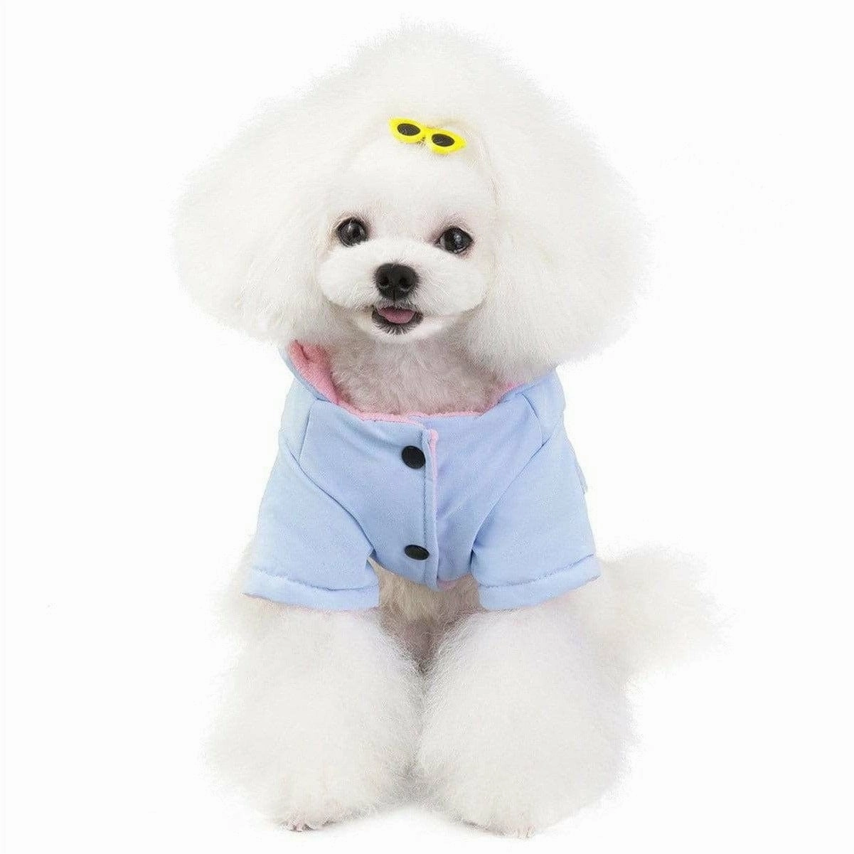 dog clothes blue L 201907026