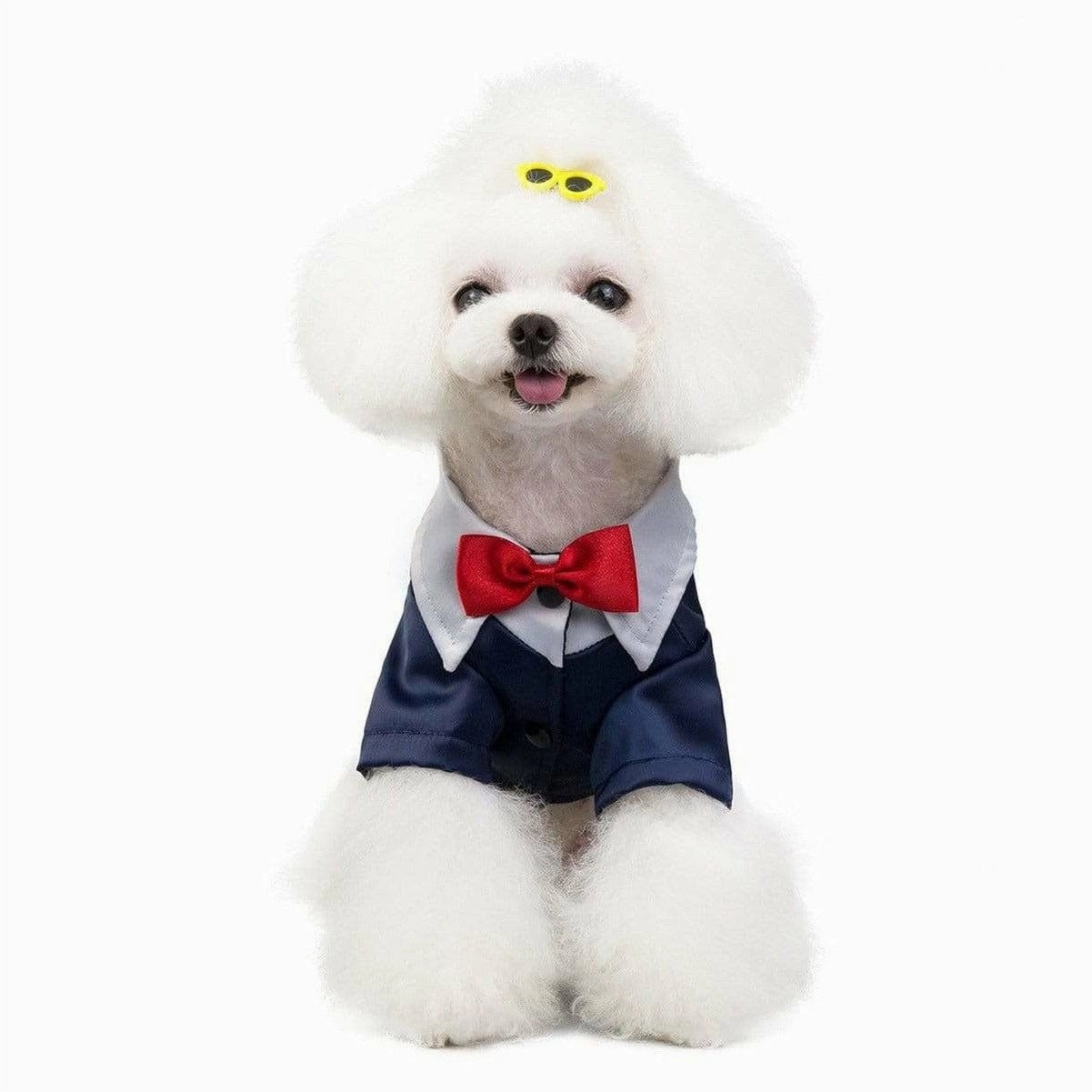 dog clothes blue M 201907015