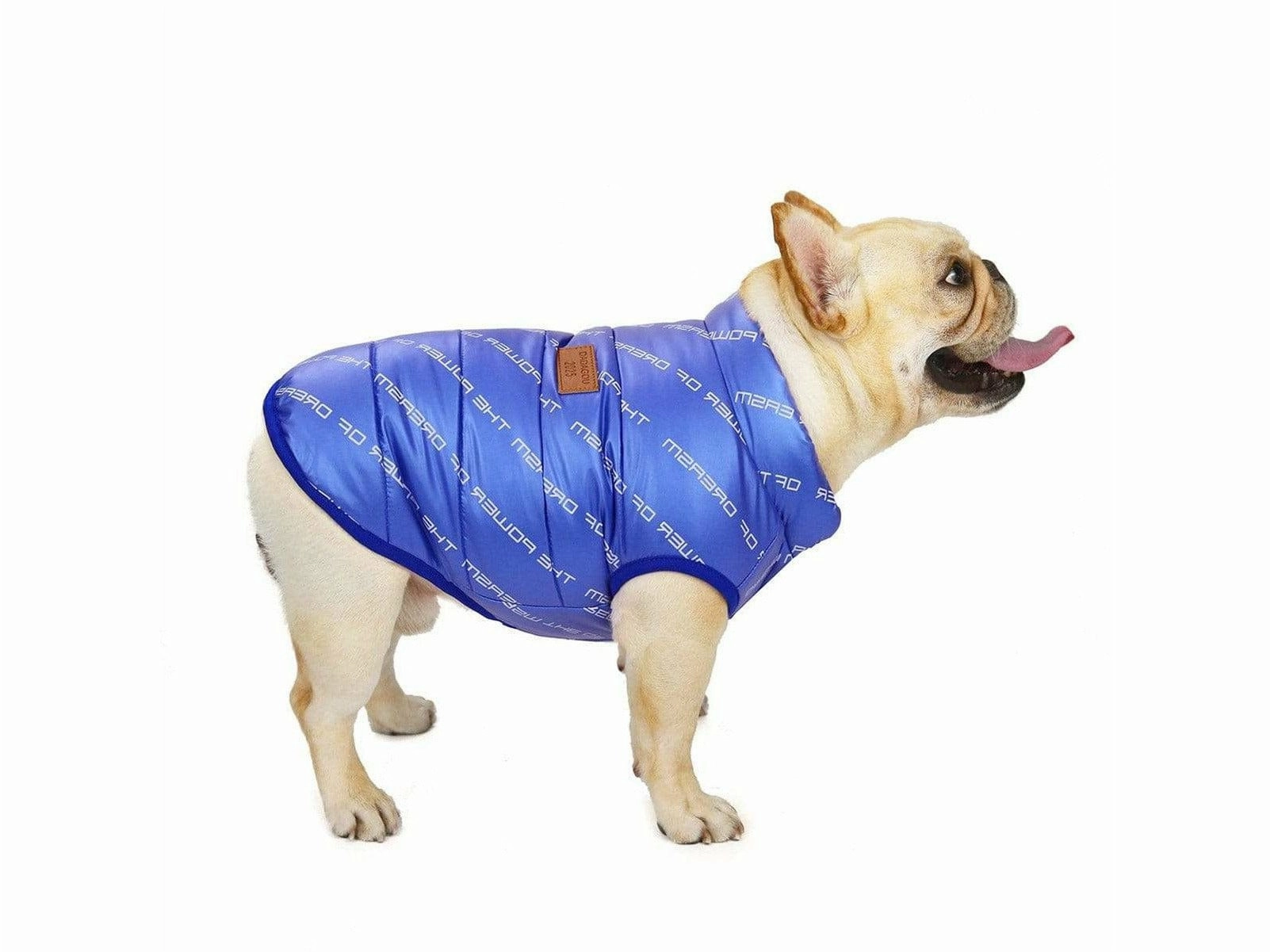 dog clothes Blue  M AWYP-7