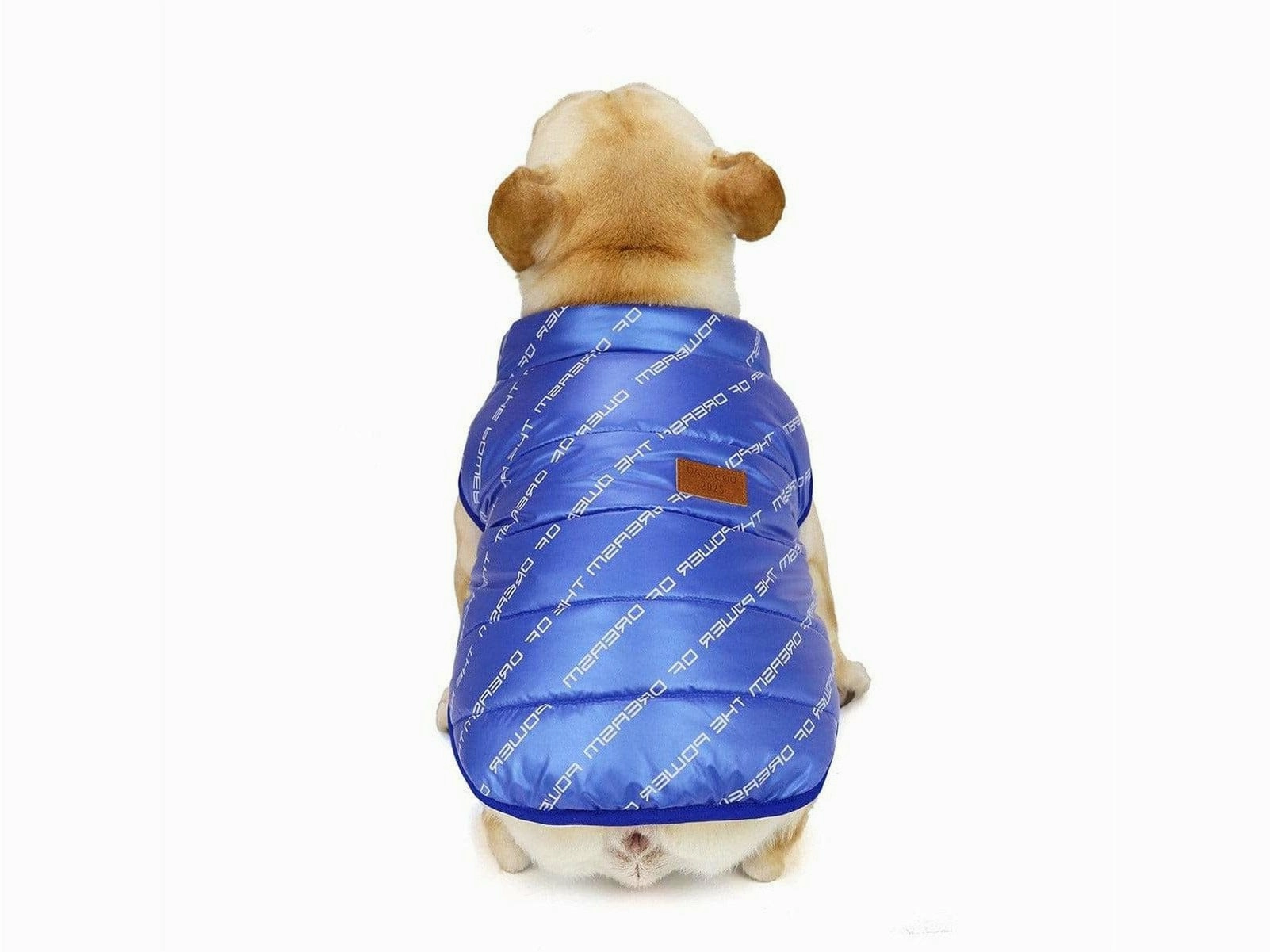 dog clothes Blue  M AWYP-7