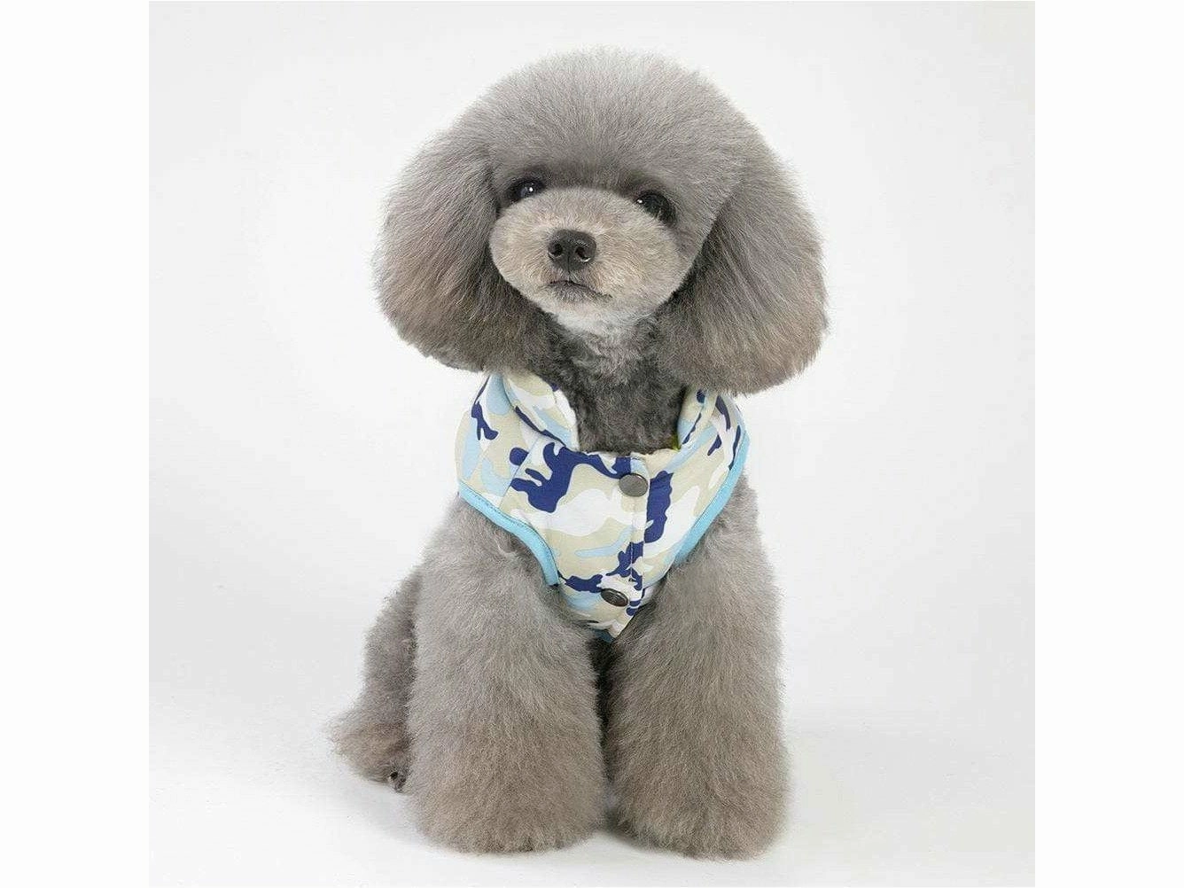 dog clothes blue M YP-201807093