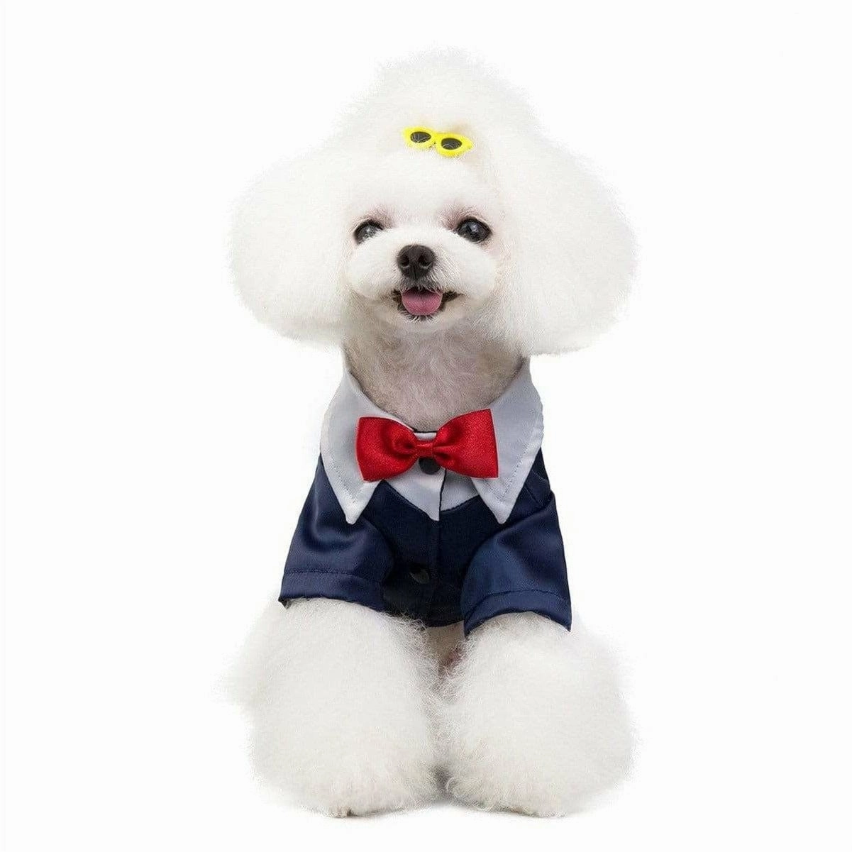 dog clothes blue S 201907015