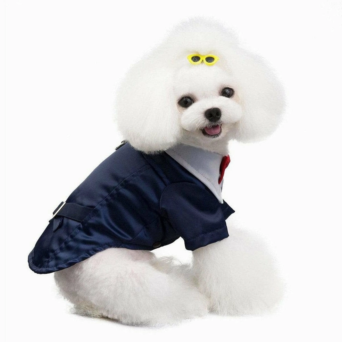 dog clothes blue S 201907015