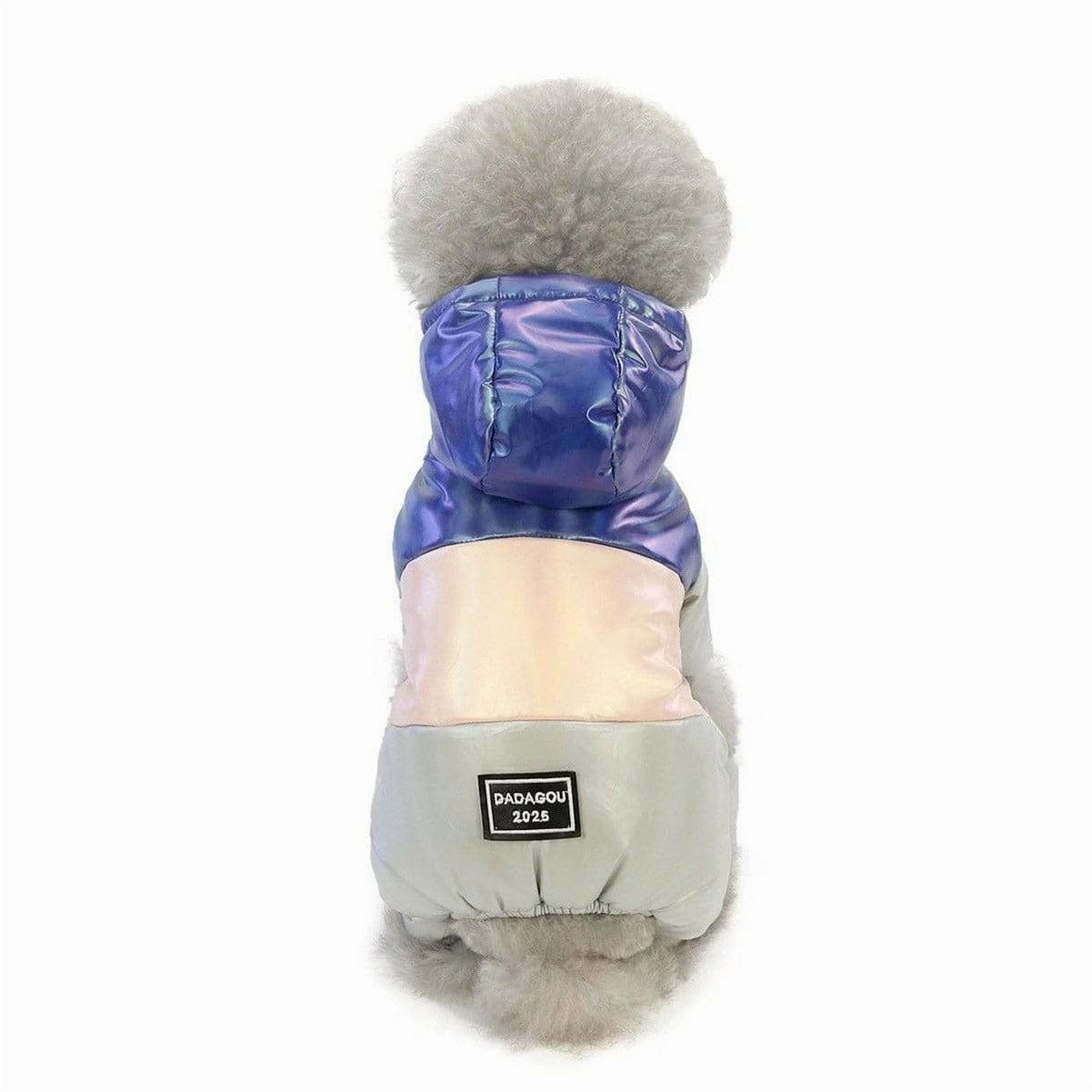 dog clothes Blue S AWYP-6