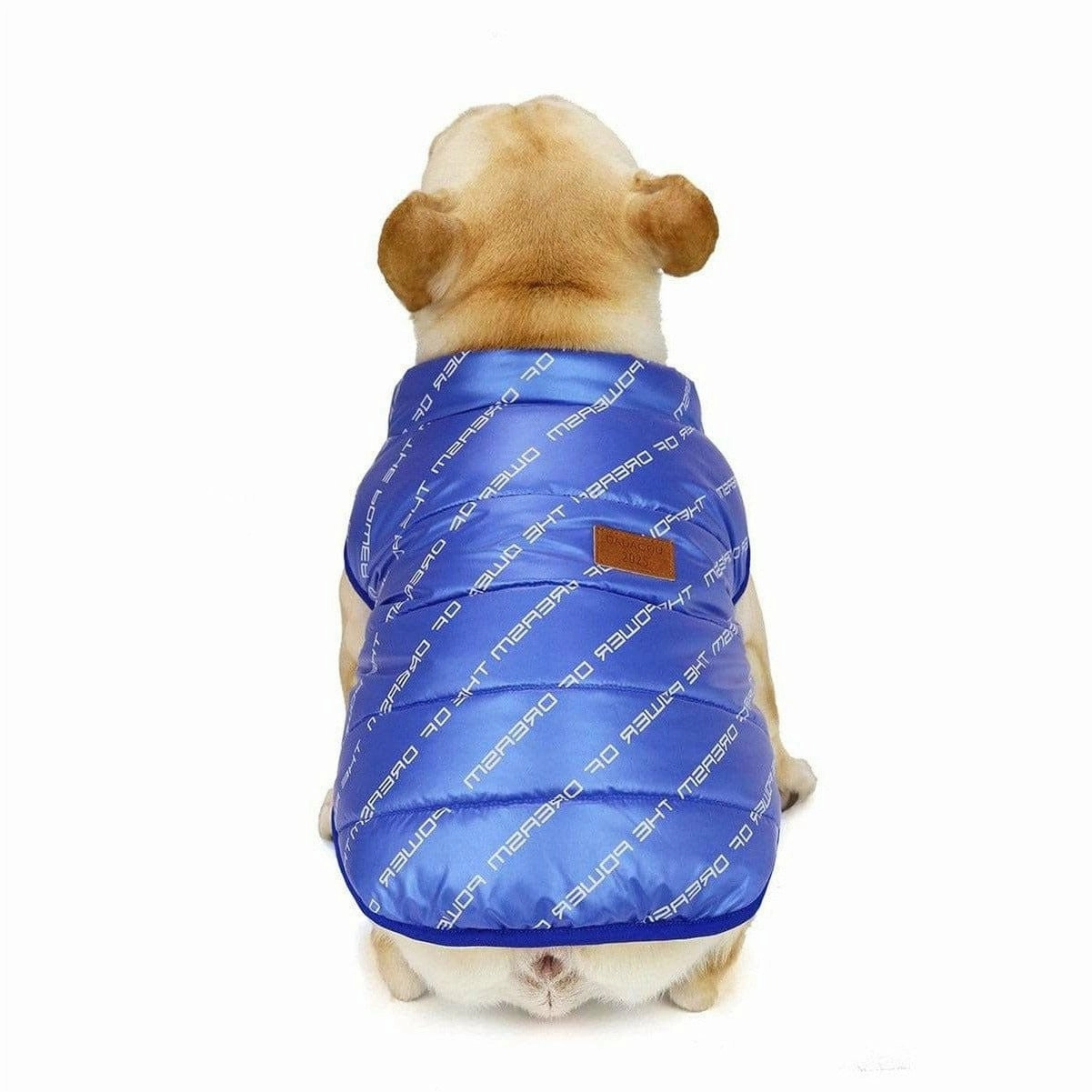 dog clothes Blue  S AWYP-7