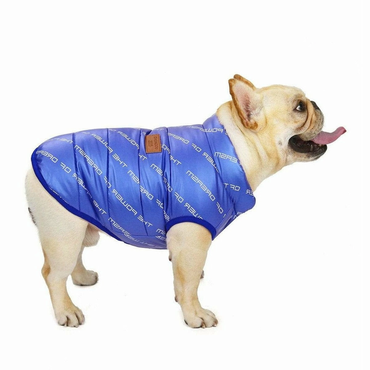 dog clothes Blue  S AWYP-7