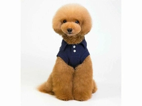 dog clothes Blue S KLN-201846