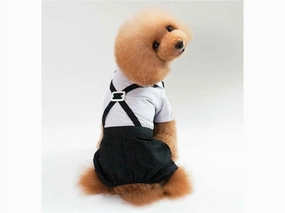 dog clothes Blue white S XZ001