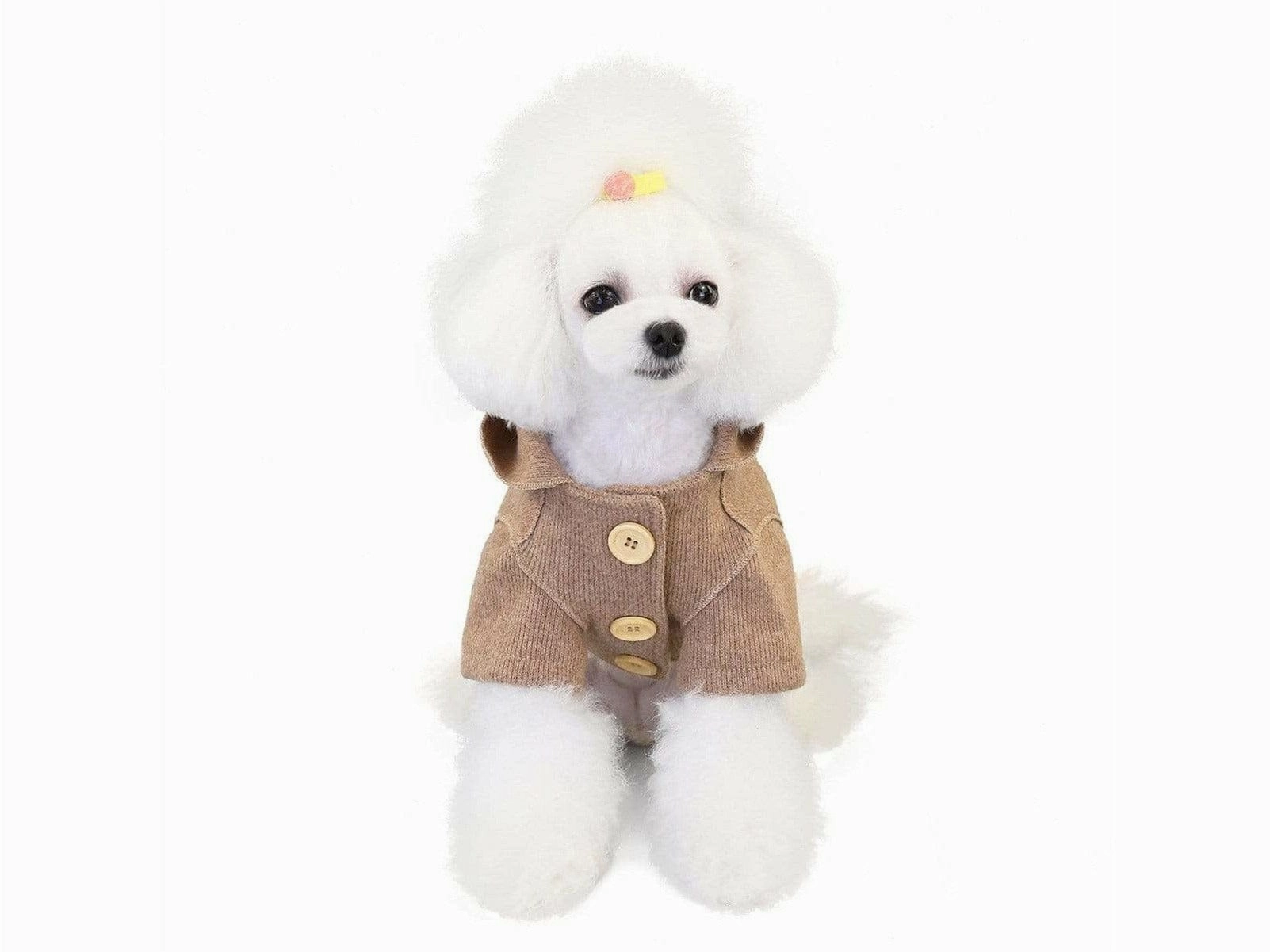 dog clothes Brown M YP-200704