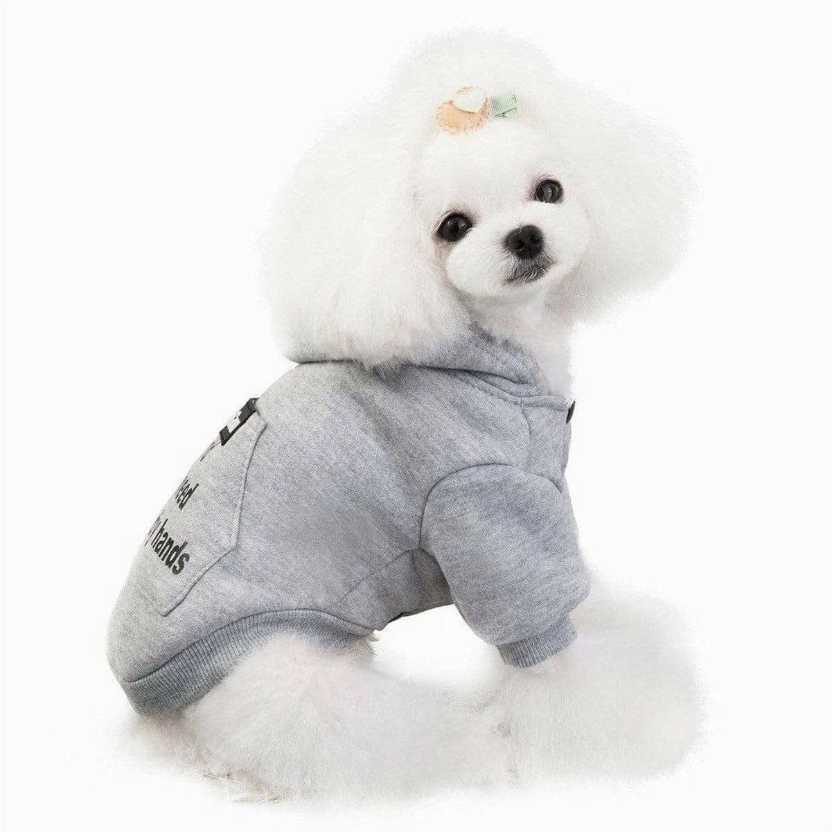dog clothes gray M 201907013