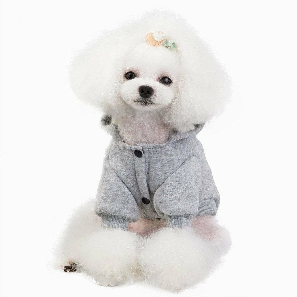 dog clothes gray M 201907013