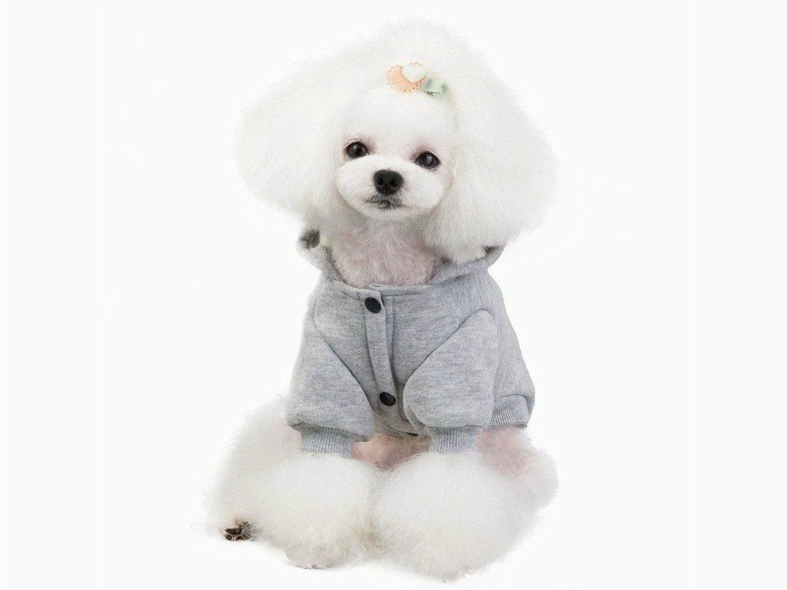 dog clothes gray S 201907013
