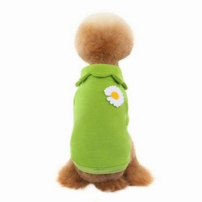 dog clothes Green S KLN20014