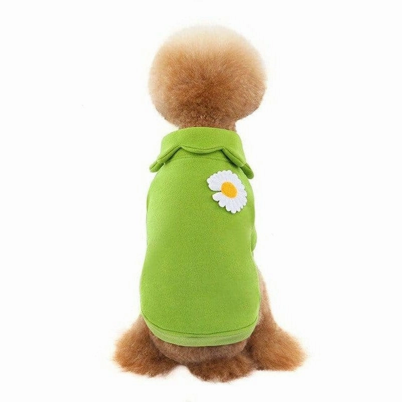 dog clothes Green S KLN20014