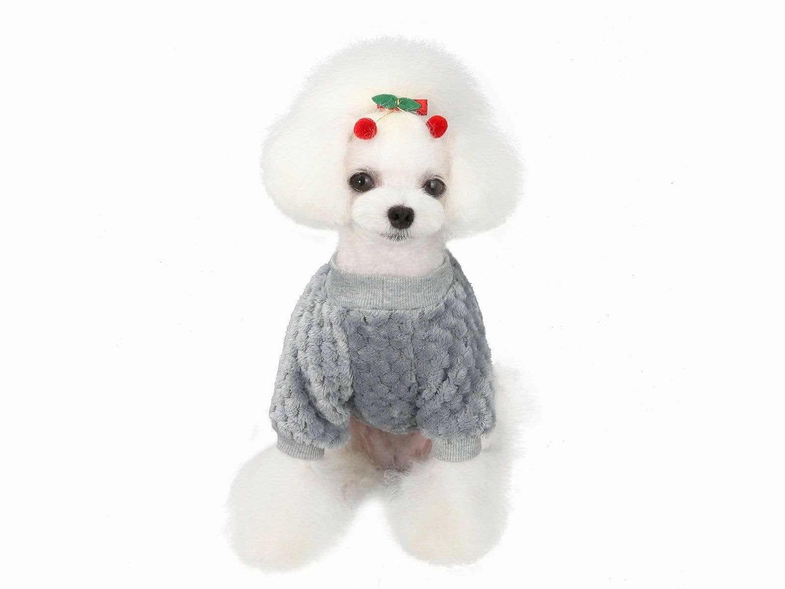 dog clothes Grey L AWYP-202001