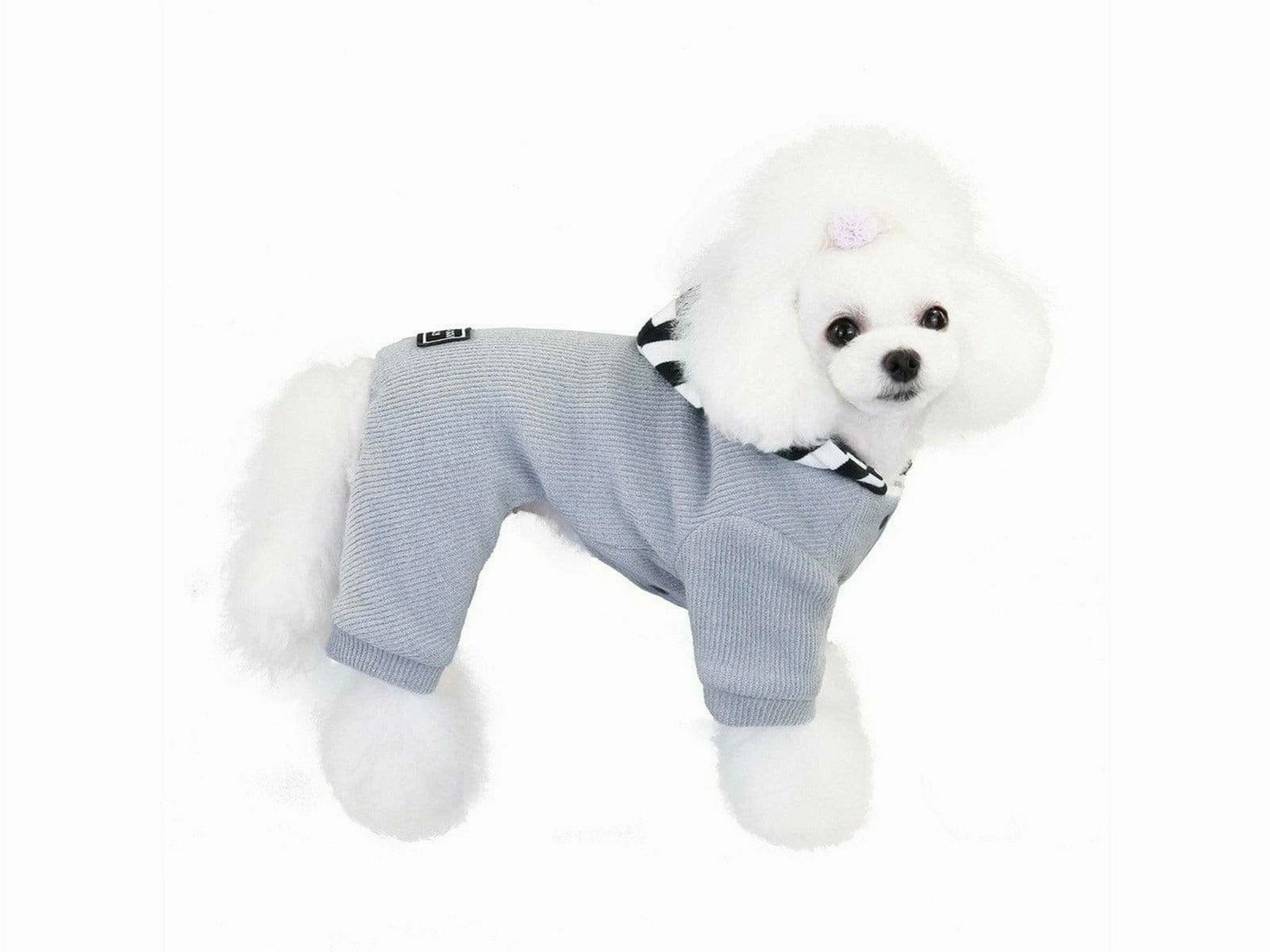 dog clothes GREY  S YP-200716