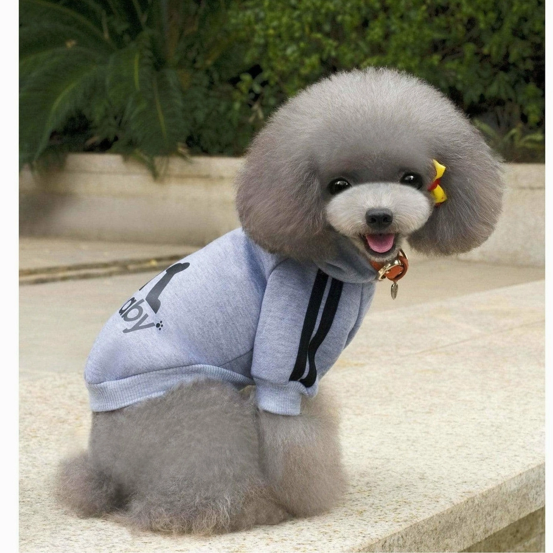 dog clothes Grey XS L-82