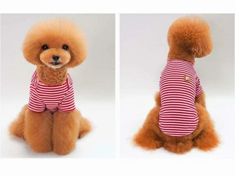 dog clothes Pink M KLN-1710PK