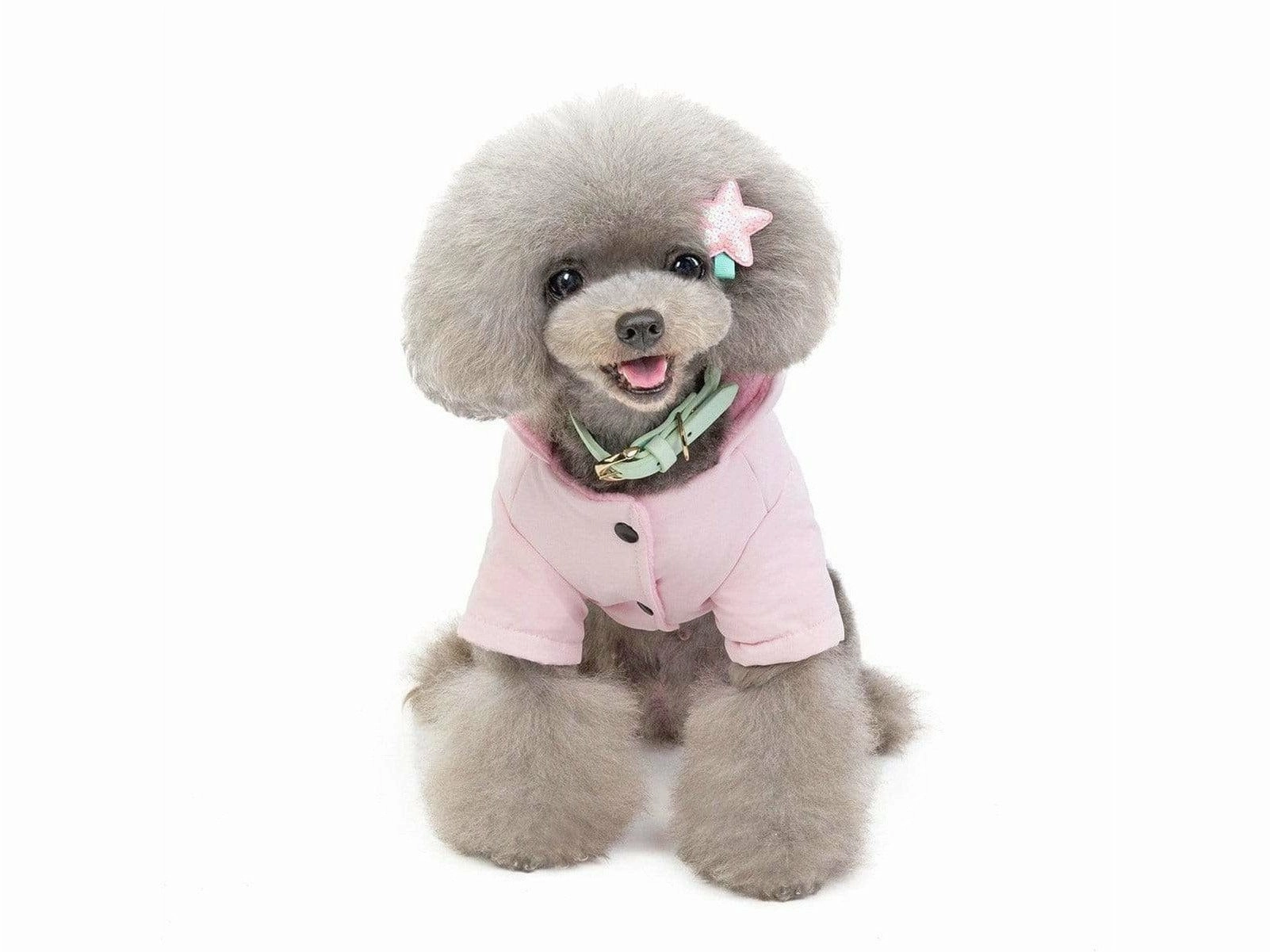 dog clothes Pink S 201907026