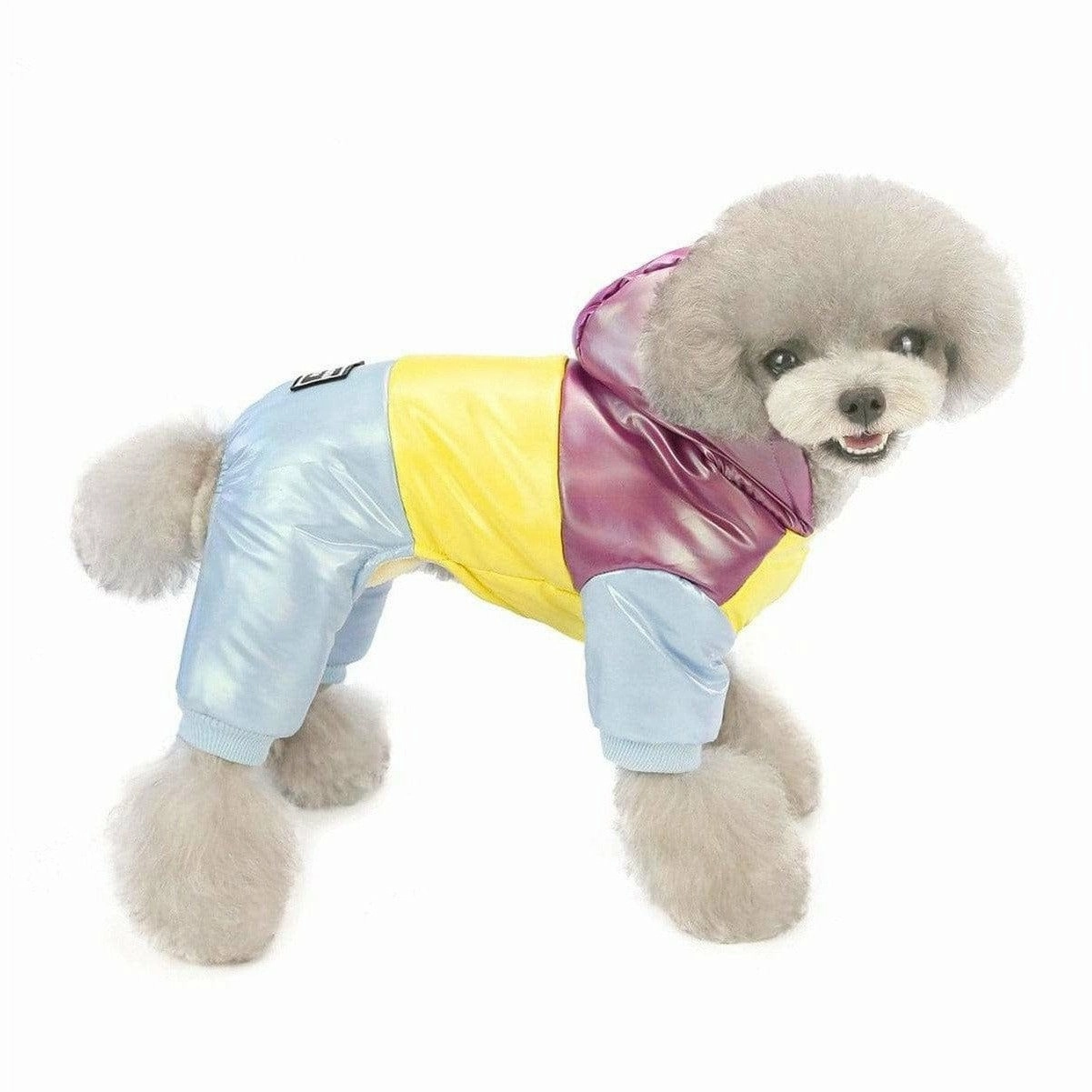 dog clothes Purple M AWYP-6