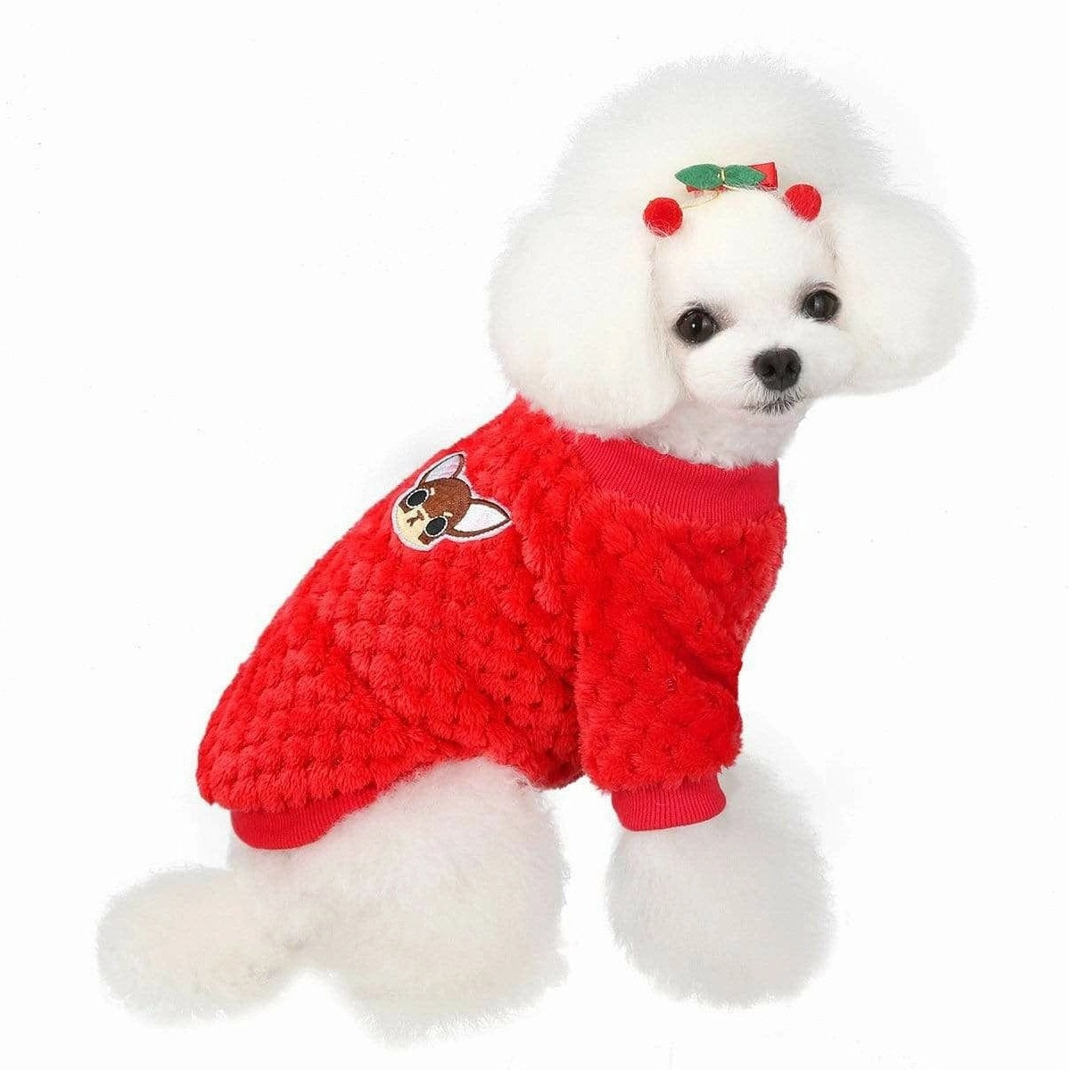 dog clothes Red M AWYP-202001