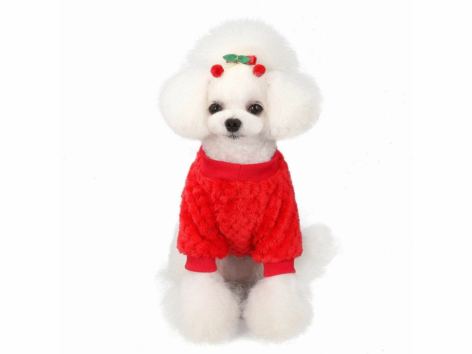 dog clothes Red S AWYP-202001