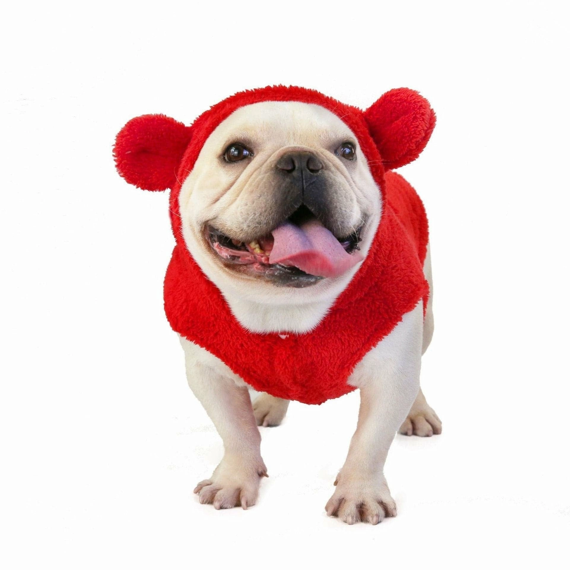 dog clothes Red S KLN-1726