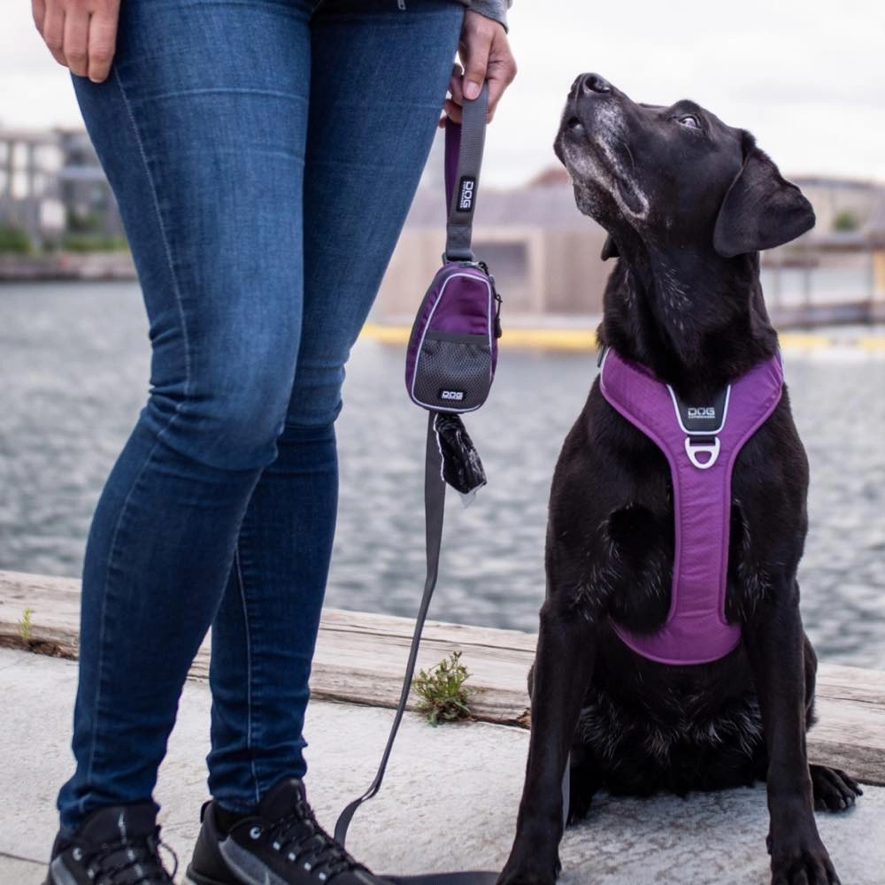 DOG Copenhagen Pouch Organizer Dog Leash Bag (Black)