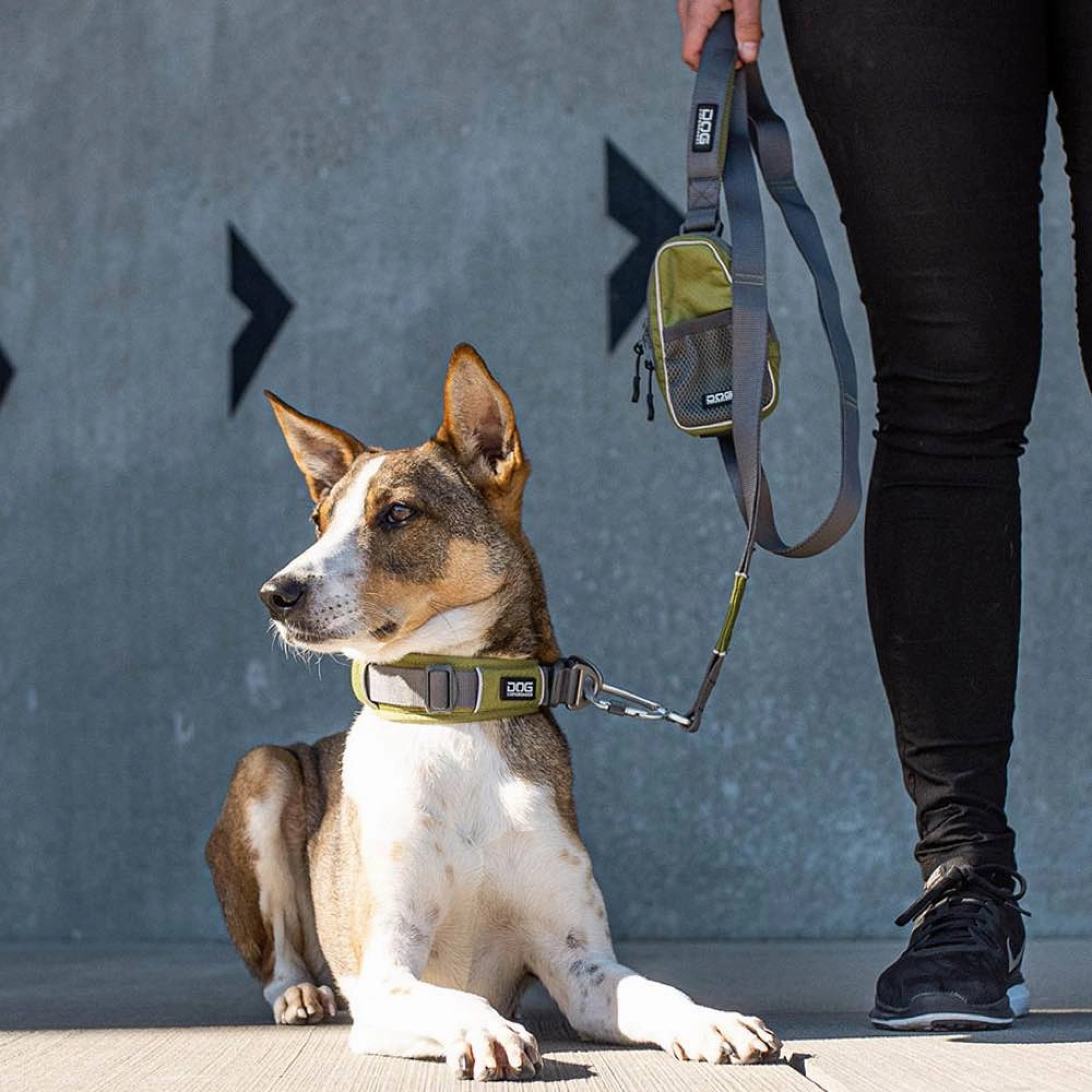 DOG Copenhagen Pouch Organizer Dog Leash Bag (Hunting Green)