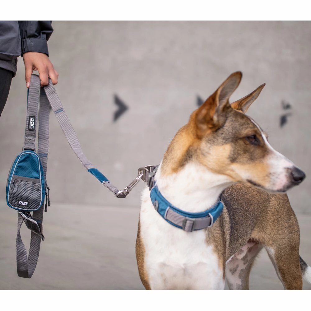 DOG Copenhagen Pouch Organizer Dog Leash Bag (Ocean Blue)