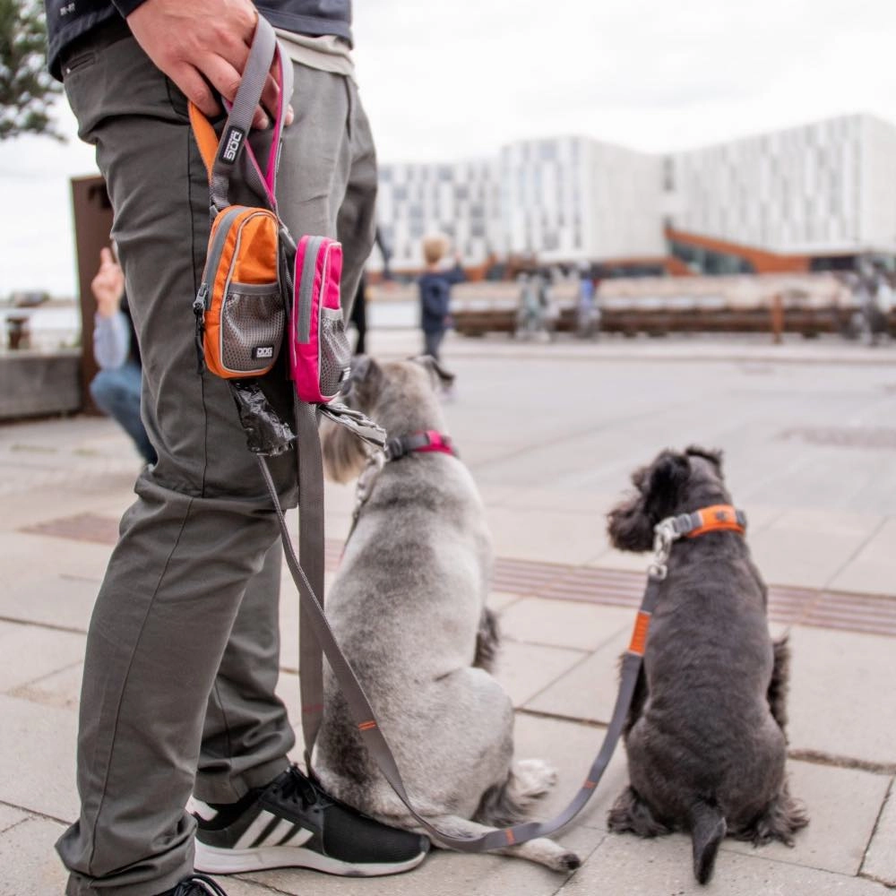 DOG Copenhagen Pouch Organizer Dog Leash Bag (Orange Sun)