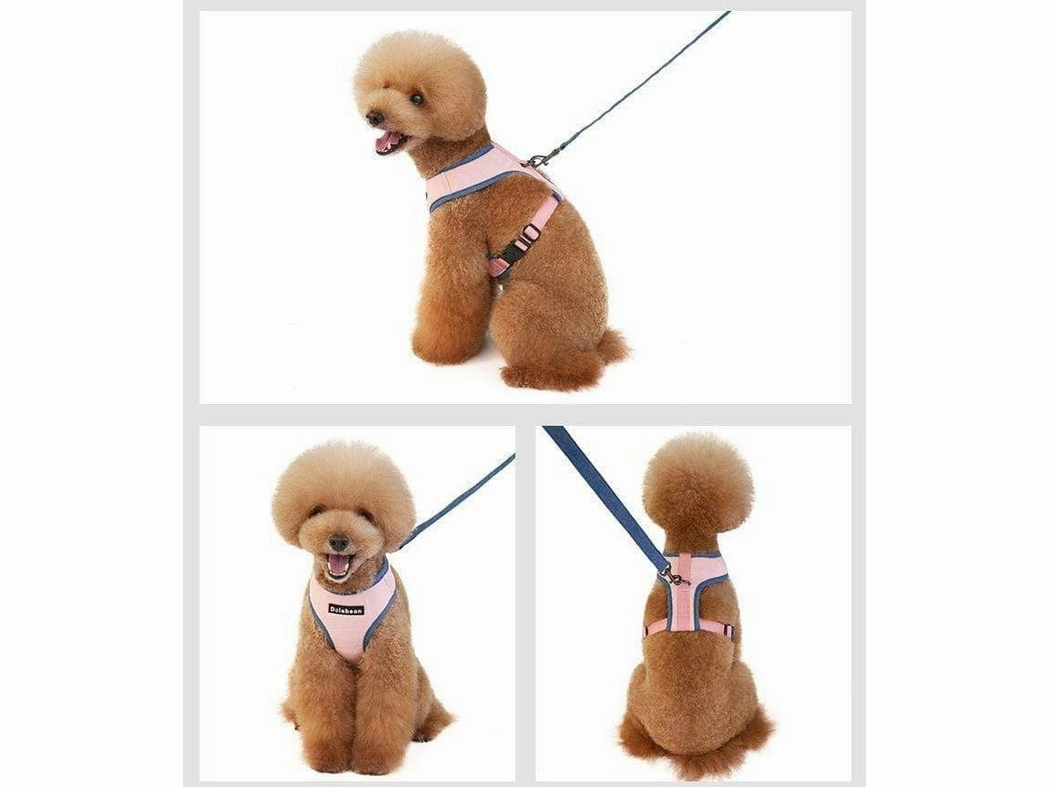 dog harness Beige M KLN19084C