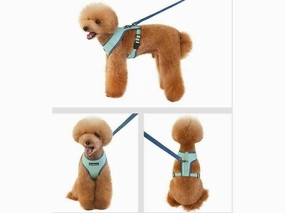 dog harness Green L KLN19084C