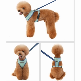 dog harness Green M KLN19084C