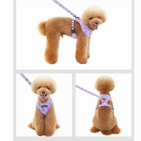 dog harness Purple L KLN20069