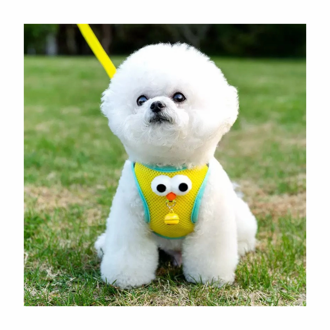 Dog Harness S